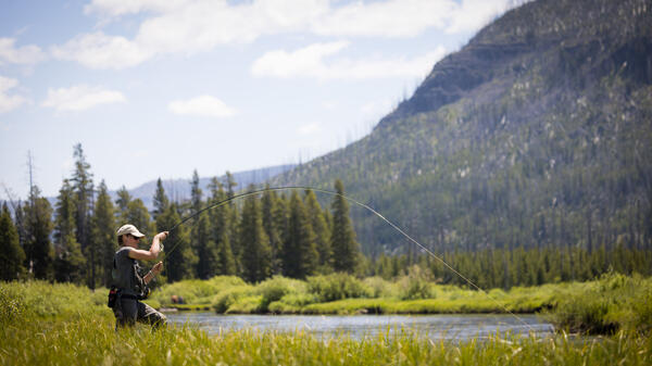 Graduate student fly fishing in Montana