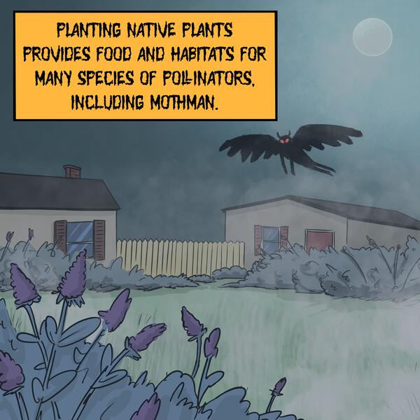 A large, black, humanoid creature with wings and glowing red eyes glides through a residential backyard full of native plants