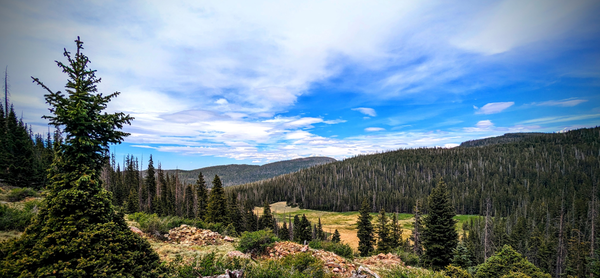 A forested mountain range stretches into the distance, with blue sky and clouds overhead