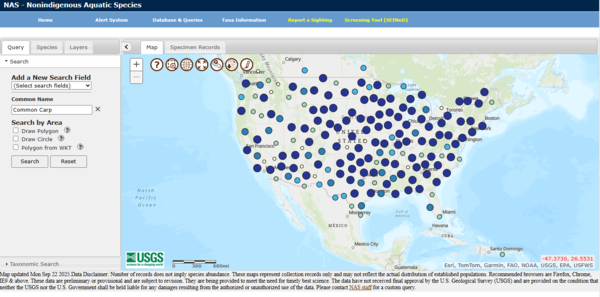 map with points where common carp (a non-indigenous aquatic species) was spotted