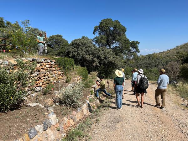 Pollinator garden tour at Santa Rita Experimental Range