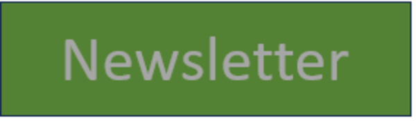A image of a simple "Newsletter" logo