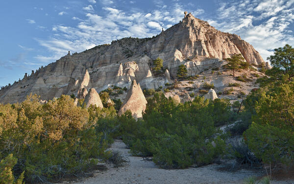 New Mexico Landscape light colored mountain range with blue sky white clouds and yellowish green trees