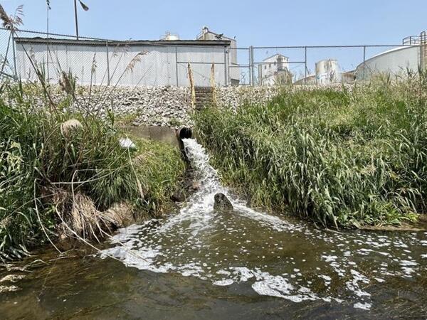 Treated wastewater from soybean processing facility discharged into adjacent stream