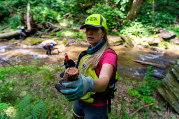 A scientist with a neon hat and vest and a ponytail holds out a root cookie with a stream in the background