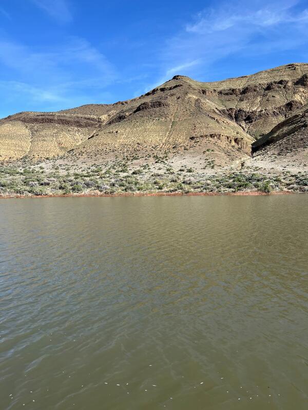 image of brown lake near mountains