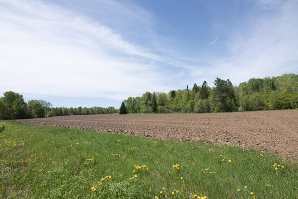 Tilled field with forest in background