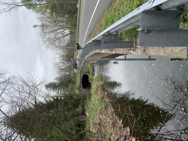 View down a small stream along the side of a road.