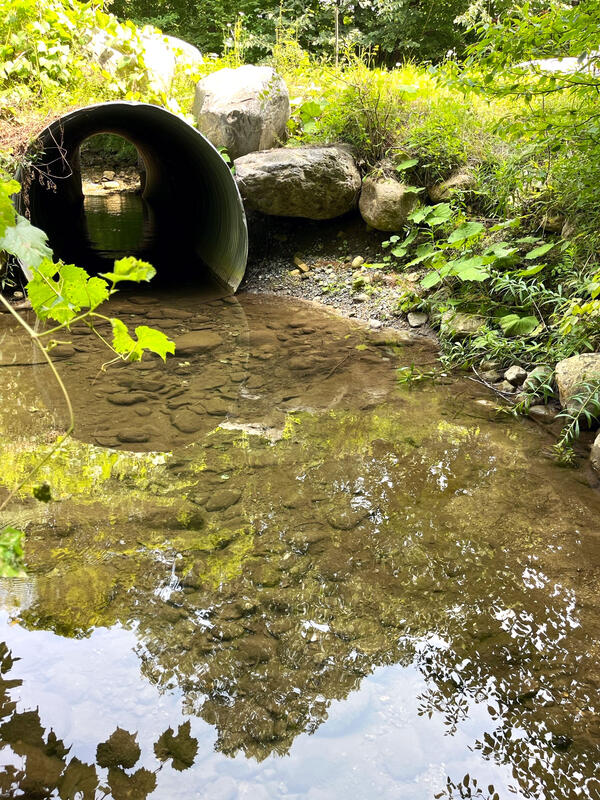 Downstream Side of Culvert at USGS Streamgage 01333900