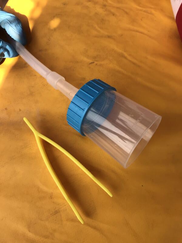 Parts of eDNA sampling equipment: a hose attached to a plastic cup and tweezers