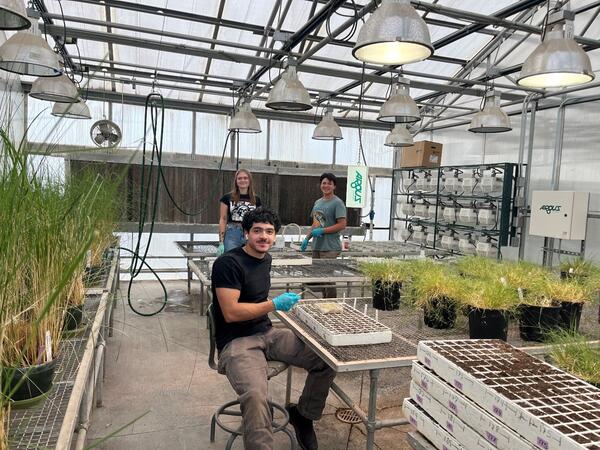 A picture with three people in a greenhouse