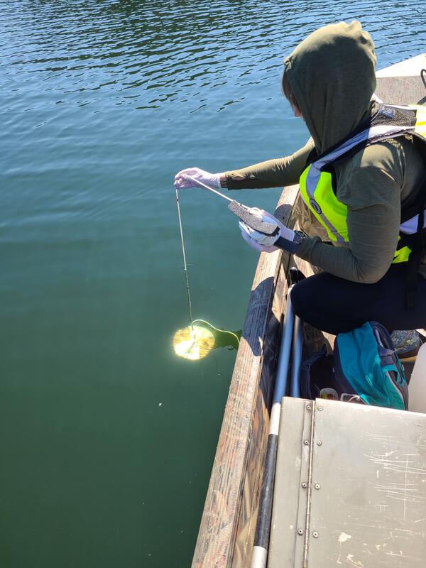 USGS scientist lowering Secchi disk into a lake from a bot