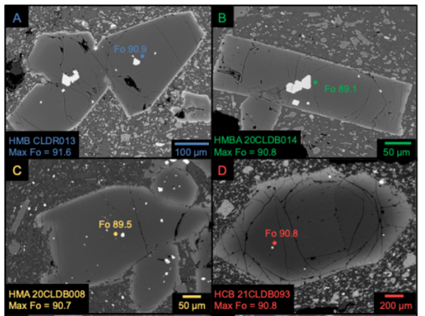 Four grayscale images of slices of angular crystals with bright rims and darker interiors, surrounded by flecks of light gray crystal fragments like confetti. Some of the crystals have bright white patches where inclusions exist, and some have dark cracks running through them. Colored text and dots show where chemical analyses were conducted with an electron beam