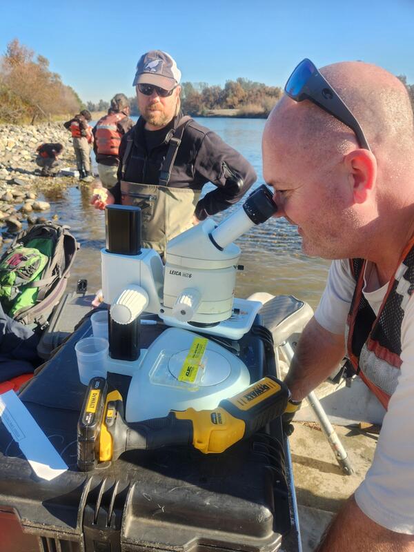 Man next to stream looking into microscope with people in the background conducting fieldwork