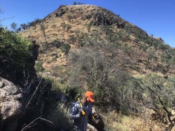 A geologist wearing an orange cap, blue shirt, and work gloves holds a rock and a large sledgehammer. He is standing in a brushy clearing amid large gray boulders. Behind him, a steep rounded hill is scattered with similar boulders and topped by a thick lava flow covered in spindly trees and sagebrush.