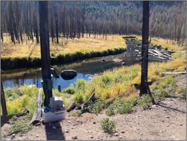 East Troublesome burned area, Colorado, two years post-fire. Compared to the other photo, it is a bit more lush with grasses growing. Many trees are distinctly still black and have no foliage.