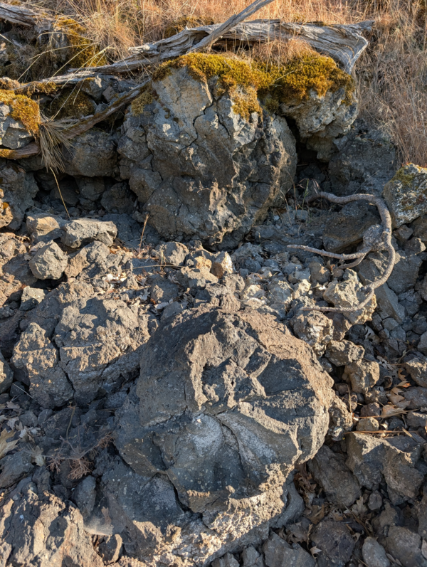 Dark gray rounded boulders of basalt sit in the middle of a field of dry grass. The boulders are split by radial cracks.