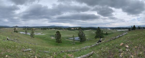 Grassy bowl-like valley, with a few sporadic trees and pools of water. Dark clouds cover the sky.