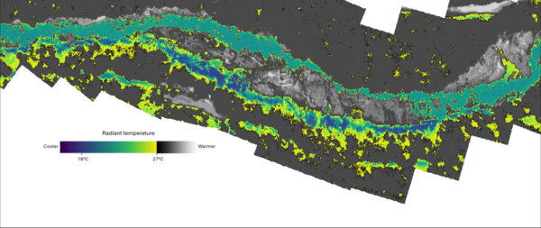 Thermal infrared mosaic of Quartzville Creek, OR, with scale bar