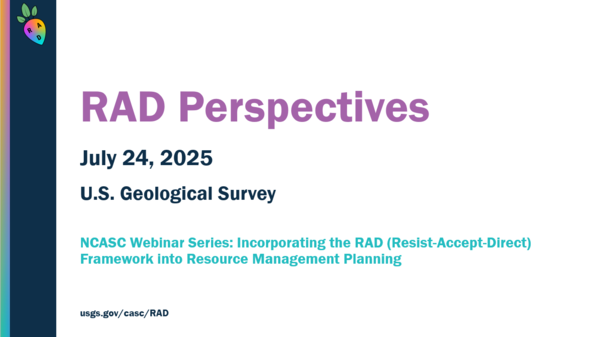 RAD Perspectives Webinar Intro Slide