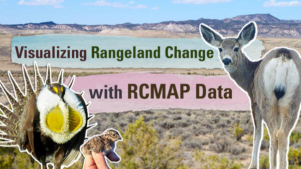 Thumbnail for "Visualizing Rangeland Change with RCMAP Data" Video