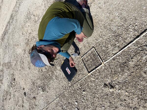 Rebecca Finger-Higgens profile photo