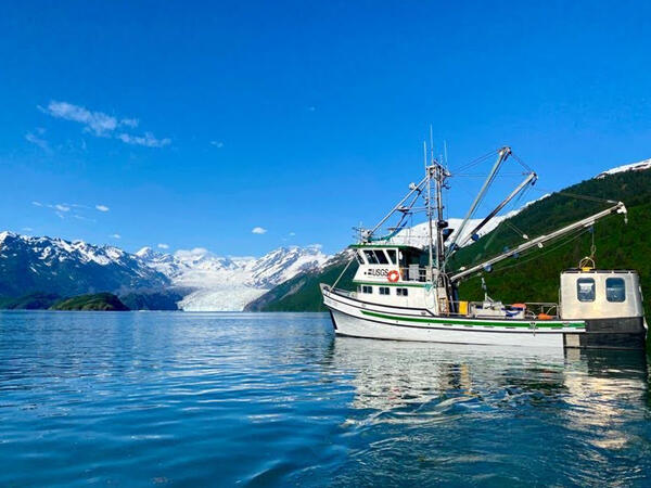 Research Vessel Alaskan Gyre in Prince William Sound