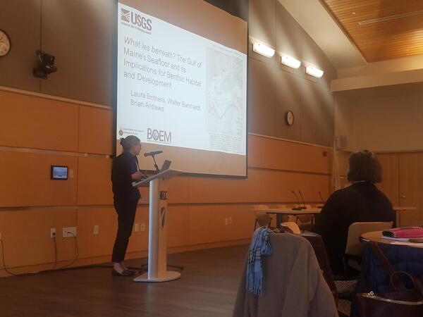 Person standing at front of room giving presentation