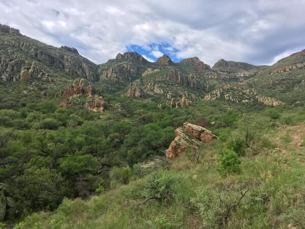 Rock Corral Canyon, Tumacacori Mountains, southern Arizona