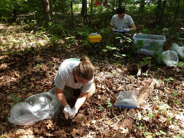 A person collects a soil sample from the ground in the woods while another man writes in the background.