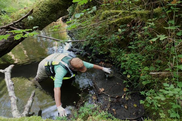 Scientist in creek scooping sediment