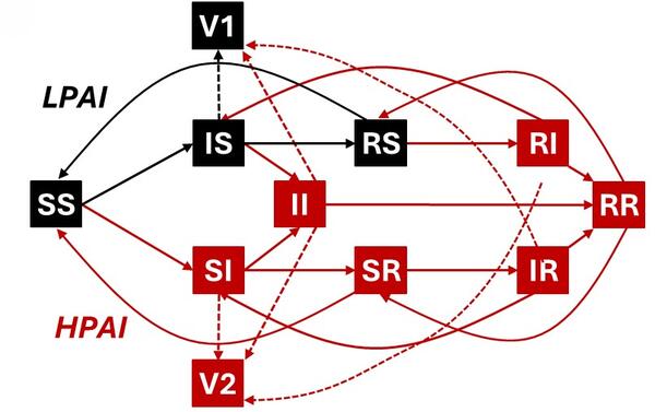 A graphical depiction of an SIR (susceptible - infected - recovered) model design