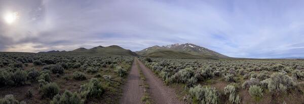 A two-track dirt road through sagebrush wilderness with mountains in the distance