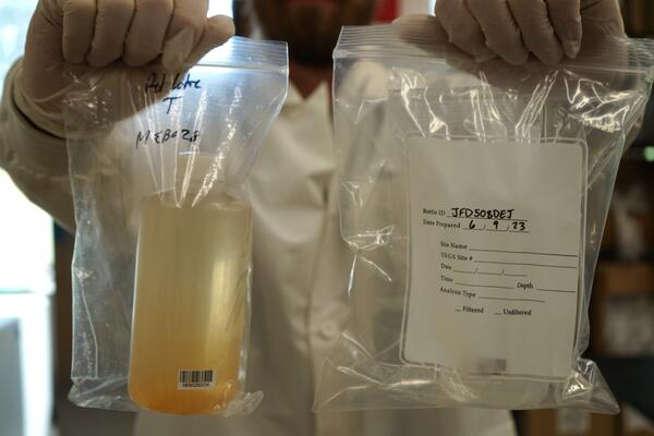 Scientist demonstrating how samples are prepared and identified in a laboratory