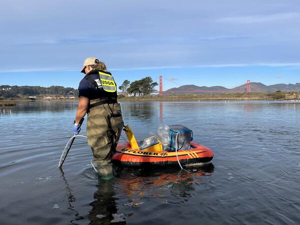 USGS employee wades in shallow marsh sampling water, towing inflatable boat with equipment, Golden Gage bridge in background