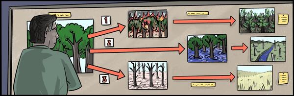 A man looks at a bulletin board with a picture of a forest on it and arrows pointing to different possible outcomes.