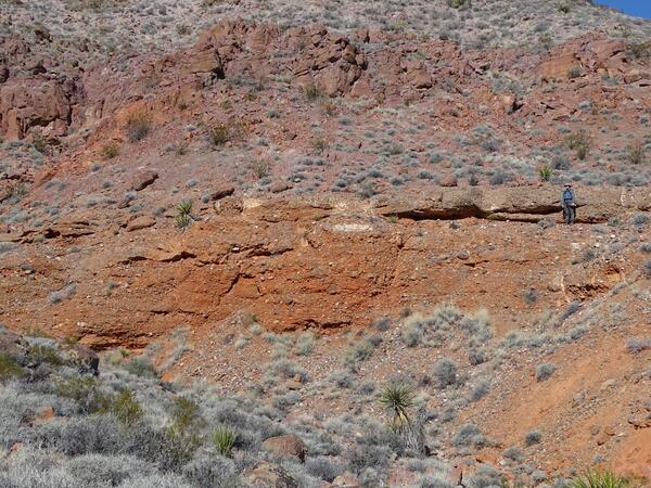 View of Cenozoic fluvial conglomerates in the Delamar Mountains with person for scale