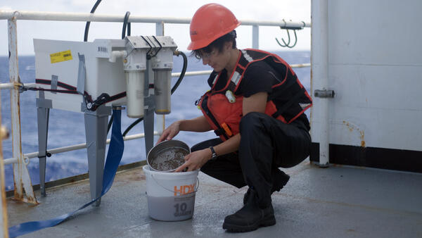 Scientist sifting through deep-sea mud for infauna during the Hawaii Abyssal Nodules Expedition