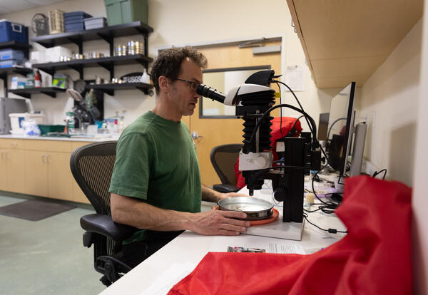 Scientists analyzing material extracted from sediment cores