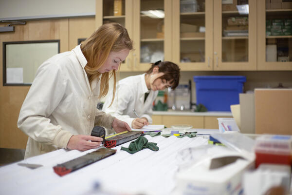 Scientists sub-sampling split sediment cores