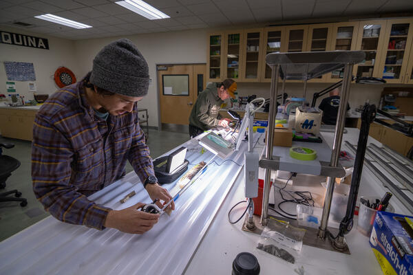 Scientists sub-sampling split sediment cores