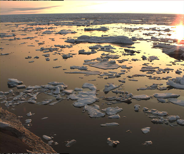 Sea ice at Nuvuk, Alaska on July 13 2025