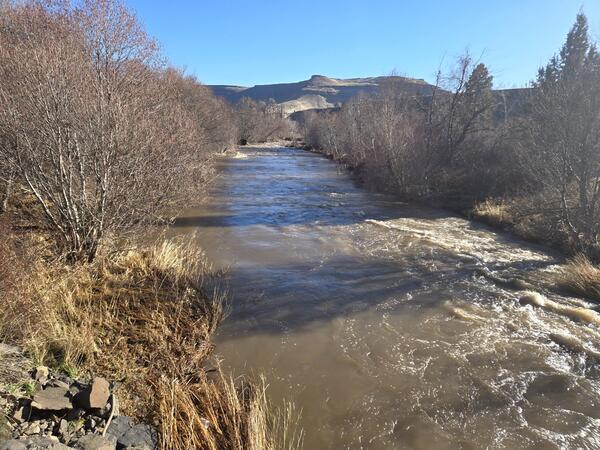 Creek lined with leafless trees and yellow grass. Cold, clear winter day.
