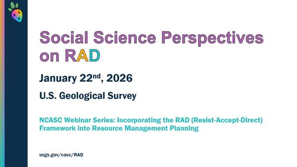 Presentation Slide for the second RAD webinar. 