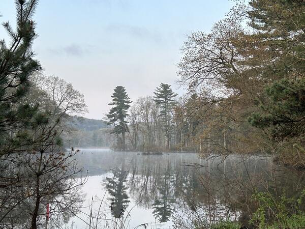Smith Pond, Northborough, Massachusetts — Small Freshwater System in the Hop Brook Watershed