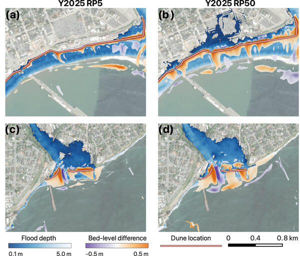 Spatial distribution of post-storm bed-level differences between simulations with and without dune-based adaptation