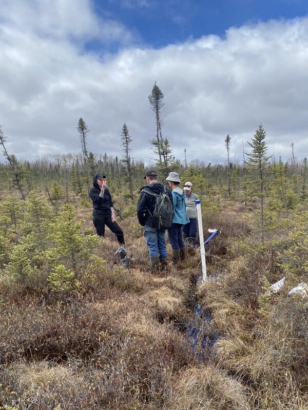 Four scientists discuss soil collecting methods for trace metals while standing in the St. Louis River Peatlands, Minnesota.