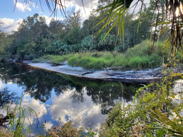NDT Fall 2023 Sunbathing along the Florida Trails