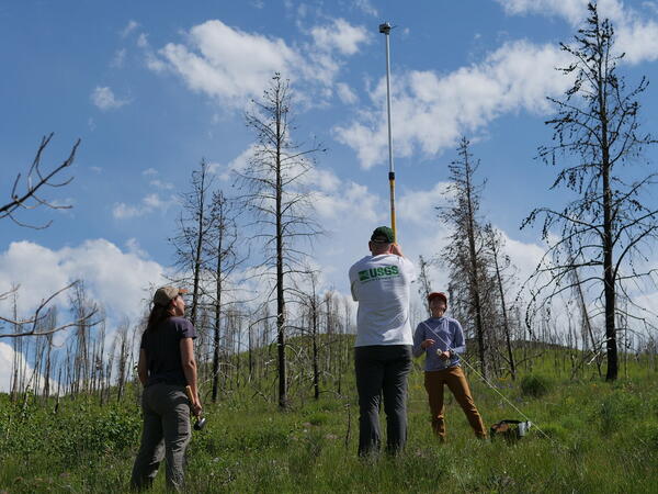 three people stand in a green field, dead trees in background, setting up a tall pole
