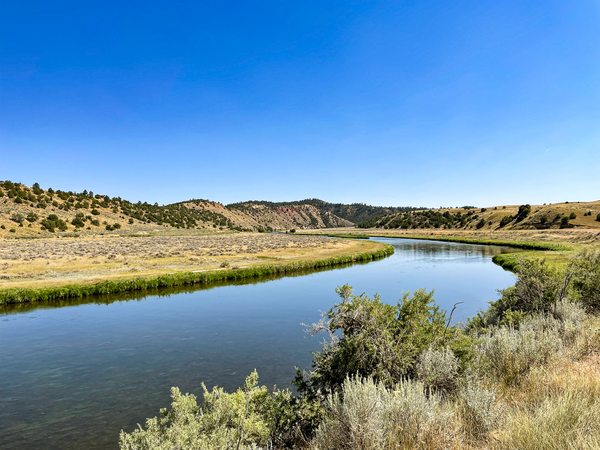 View of the Tongue River during a summer site visit with hills in the background 
